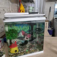 فروش آکواریوم