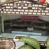 آکواریوم با تجهیزات کامل