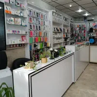 فروش دکور و اجناس مغازه