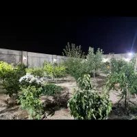 اجاره سالیانه باغ ویلا (رباط کریم)|اجارهٔ خانه و ویلا|رباط‌کریم, حصار مهتر|دیوار