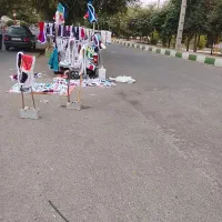 جلیقه گلباف گمشده