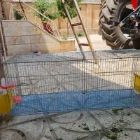 قفس پرنده
