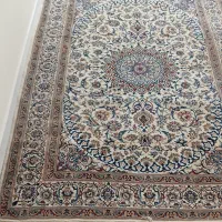 فرش دستباف|فرش|مشهد, ارشاد|دیوار