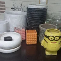 تعدادی گلدان و گل