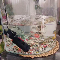 آکواریوم با ماهی های رایگان به توضیحات دقت کنید|ماهی|تهران, کرمان|دیوار