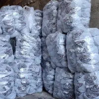 خرید چوب پسته و برش درخت|خدمات باغبانی و درختکاری|سیرجان, |دیوار