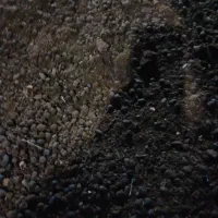 کود حیوانی گاوی گوسفندی کیسه ای ۳۰۰هزار تومان