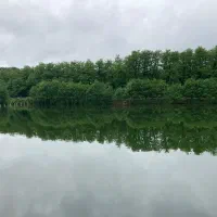 کلبههای جنگلی استخردار، منظره دریاچه گیسوم|اجارهٔ کوتاهمدت ویلا و باغ|اسالم, |دیوار