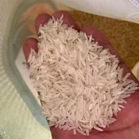 فروش عمده برنج هندی چابهار