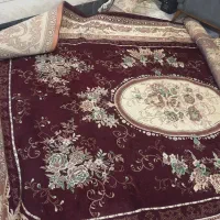 فرش ۱۲ متری|فرش|گرگان, |دیوار