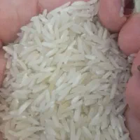 برنج ایرانی ۲۳۰ تومان عمده وخرده