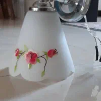 دیوارکوپ استیلیک شاخه اگرکسی خ واست بالوسترفروش ی