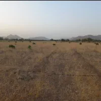 زمین-کشاورزی
