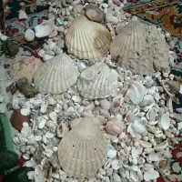 فروش سنگ|کلکسیون و سرگرمی|گلپایگان, |دیوار