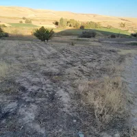 یک هکتارو نیم زمین آبی|فروش زمین و ملک کلنگی|دیواندره, |دیوار