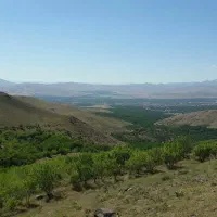 گردوی اصل تویسرکان|خوردنی و آشامیدنی|اسلام‌شهر, شهرک مفیدی|دیوار