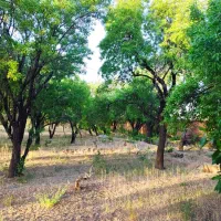 فروش باغ ۲۰۰۰ متری