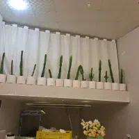 نیروی خانم جهت همکاری درکافه لنو