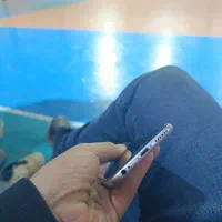 آیفون 6sدرحد|موبایل|تهران, شکوفه (عبدل آباد)|دیوار