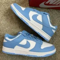 جردن نایک دانک dunk Jordan