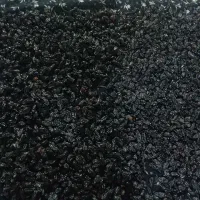 مویز اصل پاک شده کشمش آفتابی بیدانه