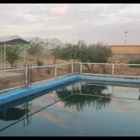 گلخانه اماده کشت و مجهز به امکانات ویژه در شوشتر|فروش دفتر صنعتی، کشاورزی، تجاری|اهواز, کوروش|دیوار