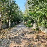 عروسک شمال/دوبلکس نما رومی شهرک با اصالت جنگلی|فروش خانه و ویلا|شیرگاه, |دیوار