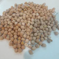 نخود گیریت پزا