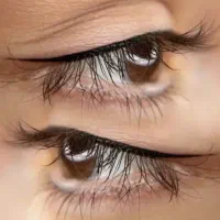 نیازمند مدل برای میکرو ابرو ،خط چشم،شیدینگ لب|خدمات آرایشگری و زیبایی|تبریز, |دیوار