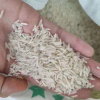 برنج|خوردنی و آشامیدنی|قم, زنبیل آباد|دیوار