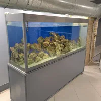 آکواریوم دو متری مناسب کافه رستوران سفره خانه|ماهی|تهران, عباسی|دیوار