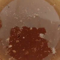عسل درجه یک ژل رویال اصل بره موم گرده گل|خوردنی و آشامیدنی|کرمانشاه, |دیوار
