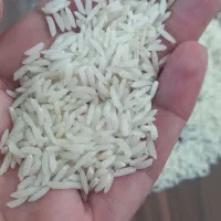 برنج درجه یک هاشمی|خوردنی و آشامیدنی|رشت, باهنر|دیوار