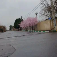 شهرک-افشاریه