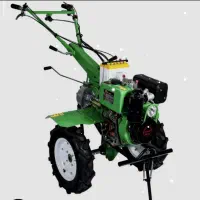 کولتیوار دیانا ۱۰اسب