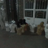مانکن تمام قد و نیم تنه زنانه و مردانه