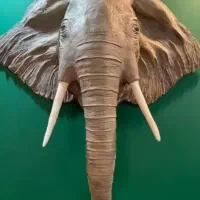 نقاشی/جاکلیدی/ماگ/تابلوی برجسته/ویترای