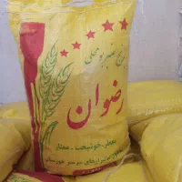 فروش برنج عنبربو تکی و عمده