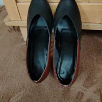 کفش مجلسی|کیف، کفش، کمربند|بوشهر, |دیوار