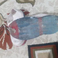 کلاش|کیف، کفش، کمربند|جوانرود, |دیوار