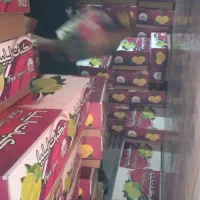 حمل بار اثاث منزل و یخچالی با ایسوزو ۵/۲۰۰|خدمات حمل و نقل|جهرم, |دیوار