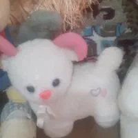 عروسک همه نوع|اسباب‌بازی بچه|کرمانشاه, |دیوار