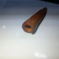 چوب سیگار چوبی|زیورآلات و اکسسوری|بندرعباس, |دیوار