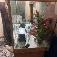 فروش آکواریوم کامل با میز و لوازم|ماهی|رشت, حمیدیان|دیوار
