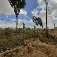 زمین ۱۰۰۰ متر سند دار.|فروش دفتر صنعتی، کشاورزی، تجاری|صائین قلعه, |دیوار