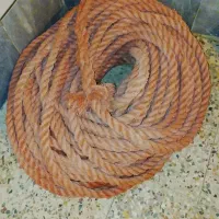طناب یا عمار لنج