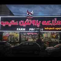 قصاب ماهرو مرینت کار
