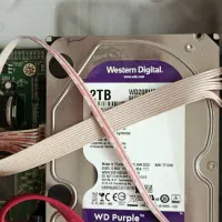 هارد وسترن دیجیتال ۲ ترابایت بنفش اصلی