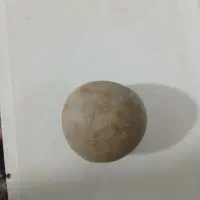 سنک قیمتی