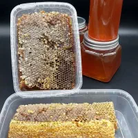 عسل ۱۰۰ درصد طبیعی|خوردنی و آشامیدنی|تهران, بهار|دیوار